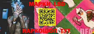 гидропоника Будённовск