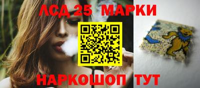 гидропоника Будённовск