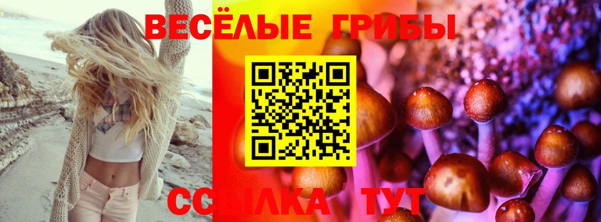 Псилоцибиновые грибы мухоморы Усть-Лабинск